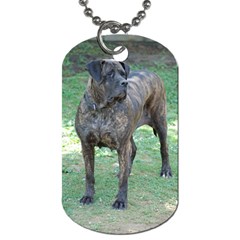 Nala.... - Dog Tag (One Side)