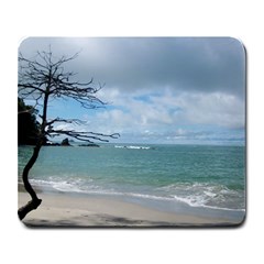 Manuel Antonio - Large Mousepad