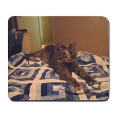 Coco, our new cat. - Large Mousepad