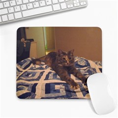 Coco, our new cat. - Large Mousepad