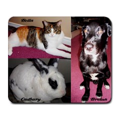 Pets - Collage Mousepad
