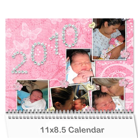 Sydnie Calender By Diana Davis Cover