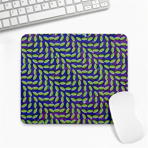 Animal Collective Front