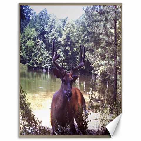 Canvas Deer Photo By Linda Ward 11.86 x15.41  Canvas - 1
