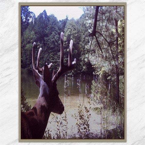 Canvas Deer Photo By Linda Ward 11.86 x15.41  Canvas - 2