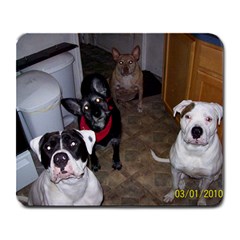 My Fur-babies - Large Mousepad