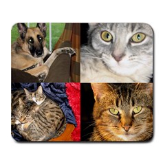 Poling Animals - Collage Mousepad