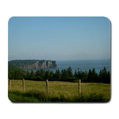 Summer Trip 2010 - Large Mousepad