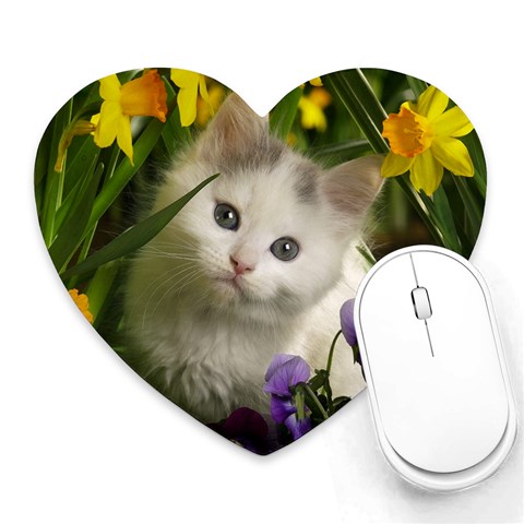 Kitty By Viraj Gandhi Front