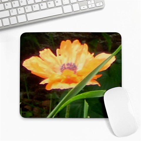 Beautiful Poppy By Sharon Bowers Cernik Front