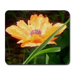 Beautiful Poppy - Large Mousepad