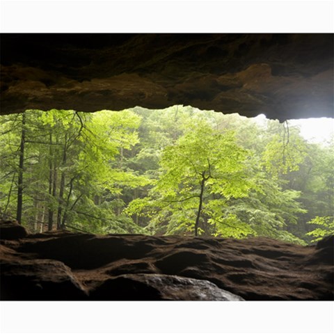 Hocking Hills Collage By Kerry Vetter 10 x8  Print - 5