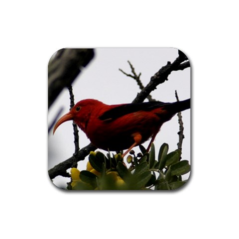 Coasters By Janet Front