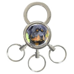 3-Ring Key Chain