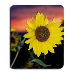 sunflower - Large Mousepad