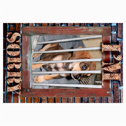 Dogcards2 By Lily Hamilton 7 x5  Photo Card - 8