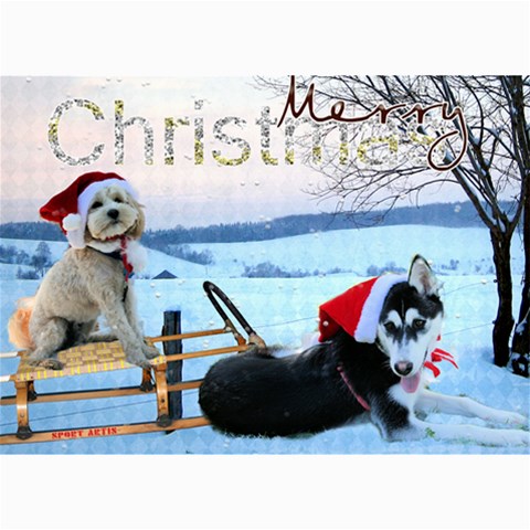 Dogcards2 By Lily Hamilton 7 x5  Photo Card - 9