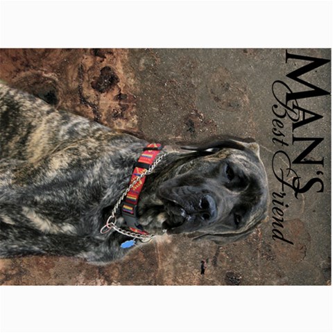 Dogcards2 By Lily Hamilton 7 x5  Photo Card - 10
