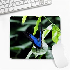 mousepad - Large Mousepad