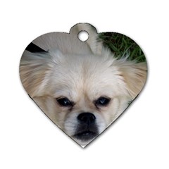 Belle - Dog Tag Heart (Two Sides)