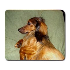 rufus - Large Mousepad