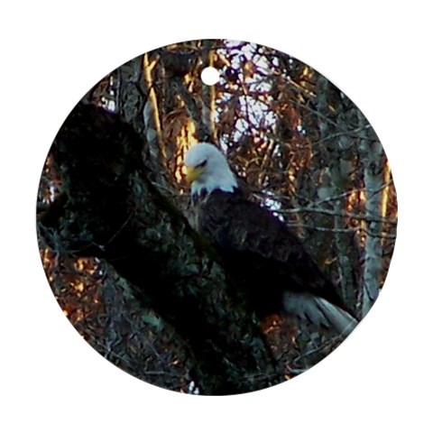Bald Eagle Ornament By Sue Front