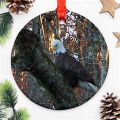 Bald Eagle ornament - Ornament (Round)