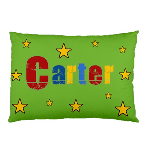Pillow Case By Heidi Broecker 26.62 x18.9  Pillow Case
