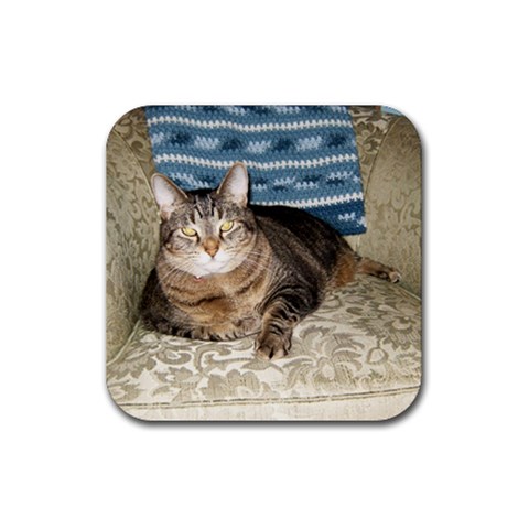 Snickers Coaster By Rachel Hull Front