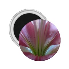 flower 1 magnet - 2.25  Magnet