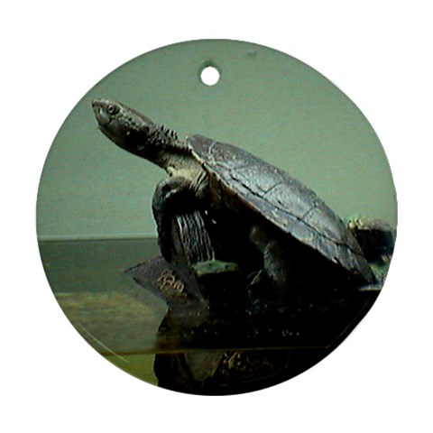 Turtle Christmas Decoration By Jay Page Front