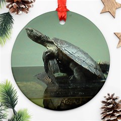 Turtle Christmas decoration - Ornament (Round)