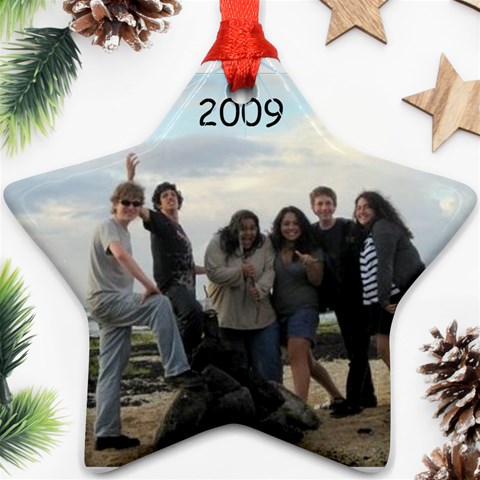 Acadec Ornament 2009 By Janet Front
