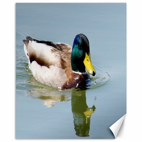 Duck Canvas By Janice Lech Canvas