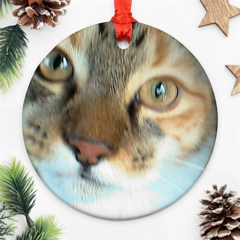 Elti Christmas Decoration By Jay Page Front