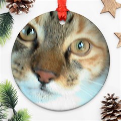 Elti Christmas Decoration - Ornament (Round)