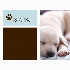 my pet card  - 5  x 7  Photo Cards