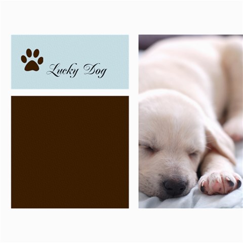 My Pet Card  By Wood Johnson 7 x5  Photo Card - 2