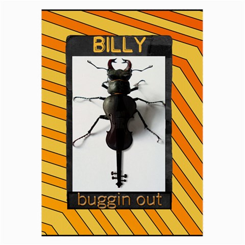 Billy Cloth By Brenda Front