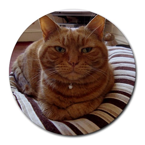 Cat By Helen Carr 8 x8  Round Mousepad - 1