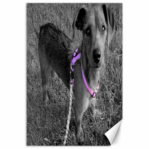 Jazzy By Katie Geske 23.35 x34.74  Canvas - 1