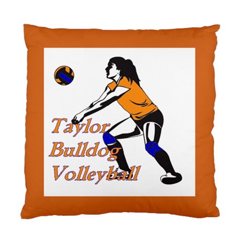 Taylor Volleyball Cushion By Cynthia Jacobs Nowlin Front