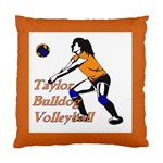 Taylor Volleyball Cushion - Standard Cushion Case (One Side)