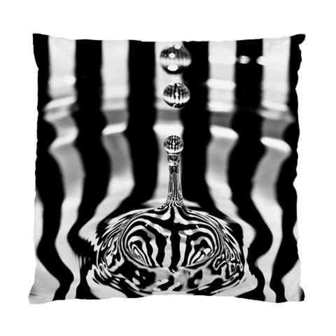 Zebra Water By Shahni Bidwell Front