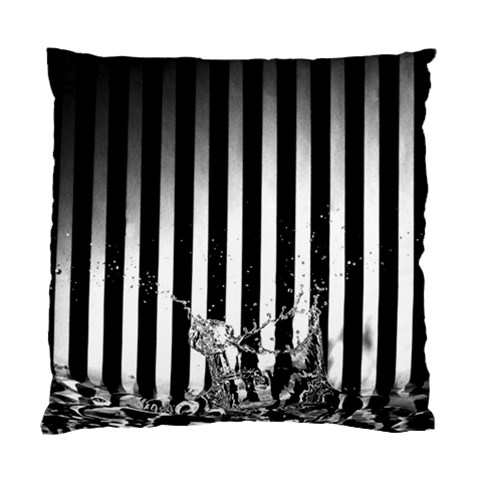 Zebra Water By Shahni Bidwell Back