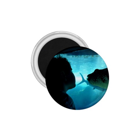 Aubrey Aat Sea Life By Jessica Rudnitzki Front