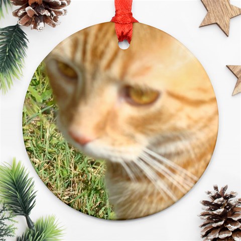 Sitav Christmas Deco By Jay Page Front