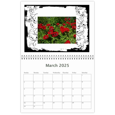 Black & White 2025 Calendar  By Catvinnat Mar 2025