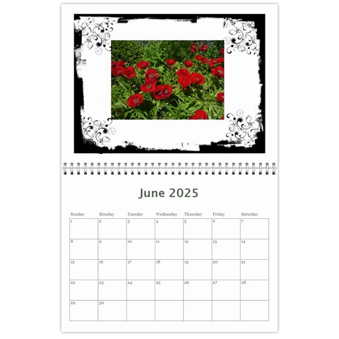 Black & White 2025 Calendar  By Catvinnat Jun 2025