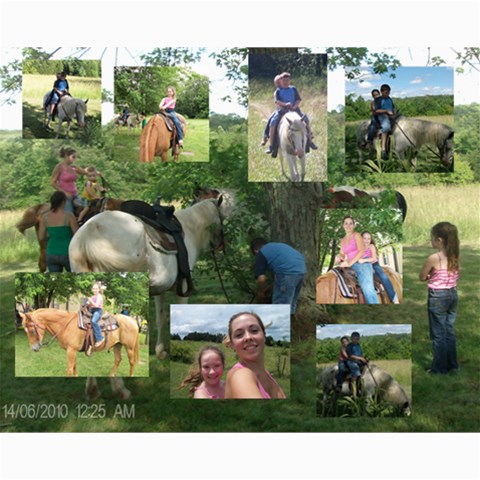 By Sue Wells 10 x8  Print - 7